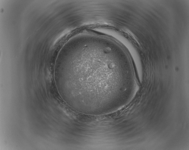 X0000068901064200605122054