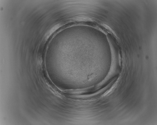 X0000068901065200605122054