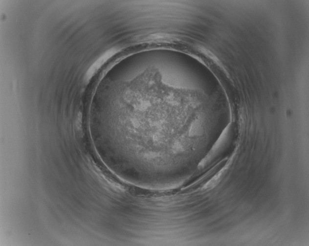 X0000068901066200605122054