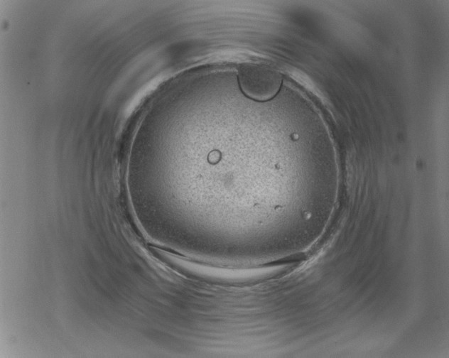 X0000068901067200605122054