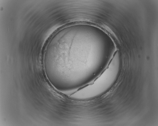 X0000068901068200605122054