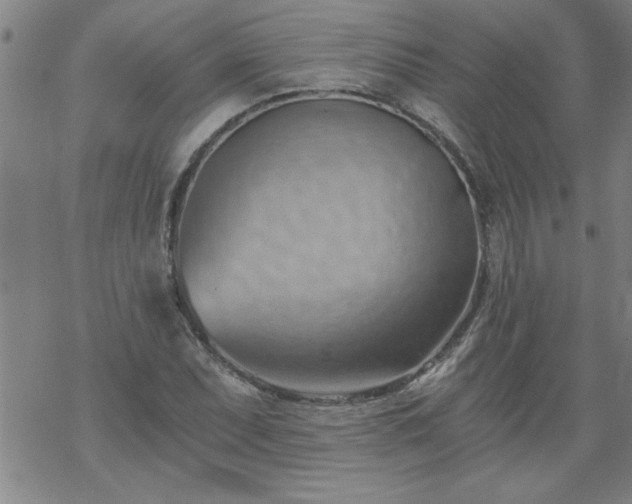 X0000068901071200605122054