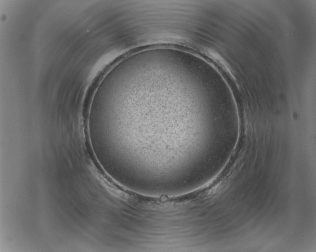 X0000068901072200605122054