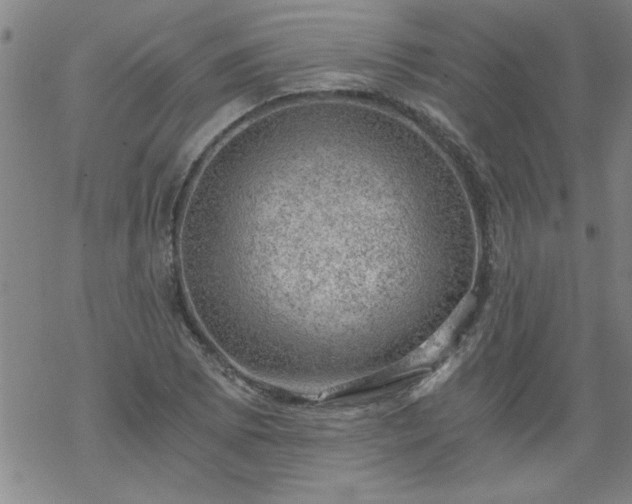 X0000068901073200605122054