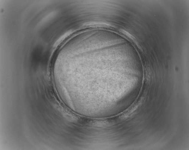 X0000068901074200605122054