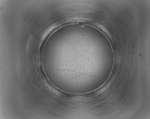 X0000068901075200605122054