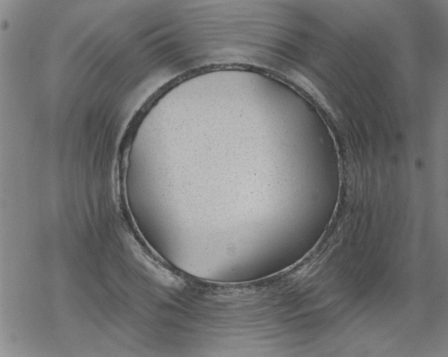 X0000068901076200605122054