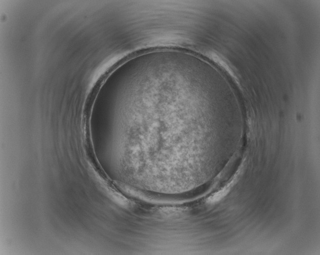 X0000068901077200605122054