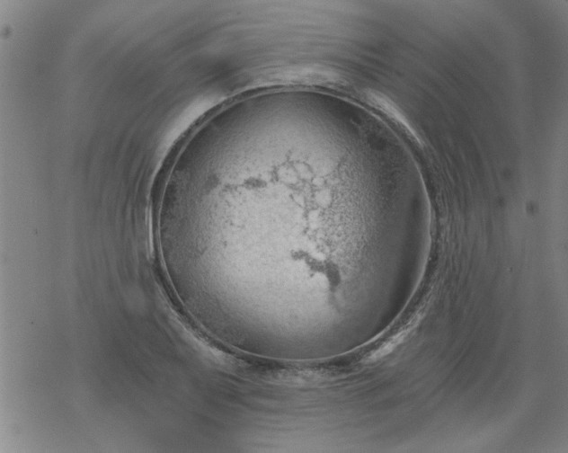 X0000068901079200605122054