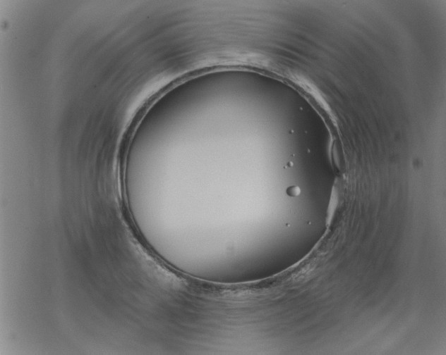 X0000068901080200605122054