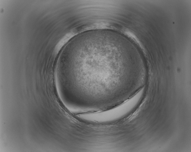 X0000068901081200605122054