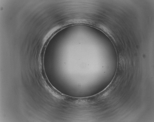 X0000068901082200605122054