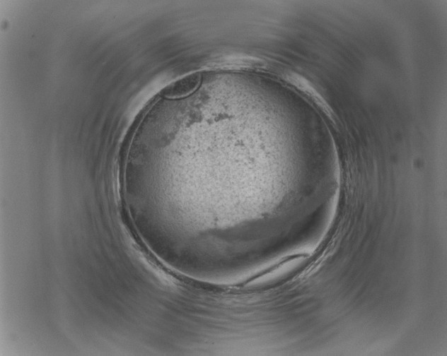 X0000068901083200605122054