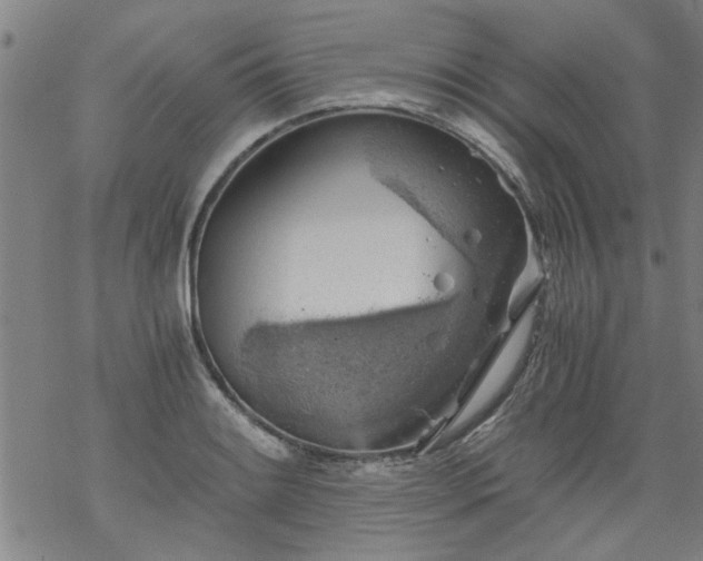 X0000068901084200605122054