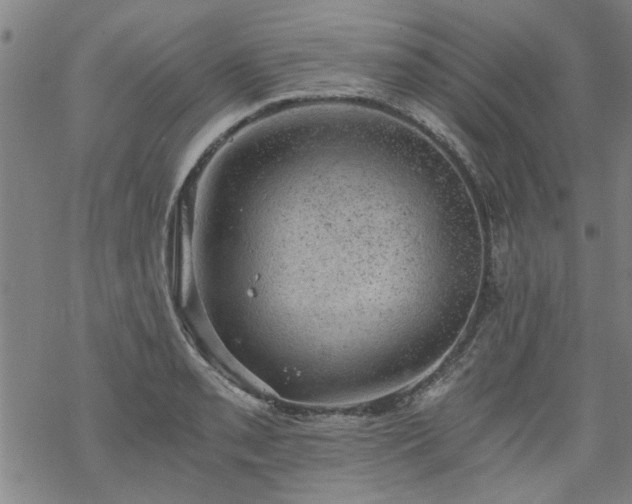 X0000068901085200605122054