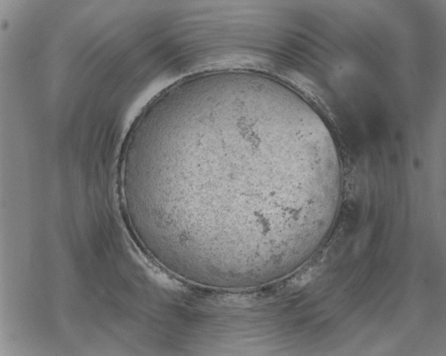 X0000068901086200605122054