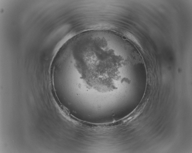 X0000068901087200605122054