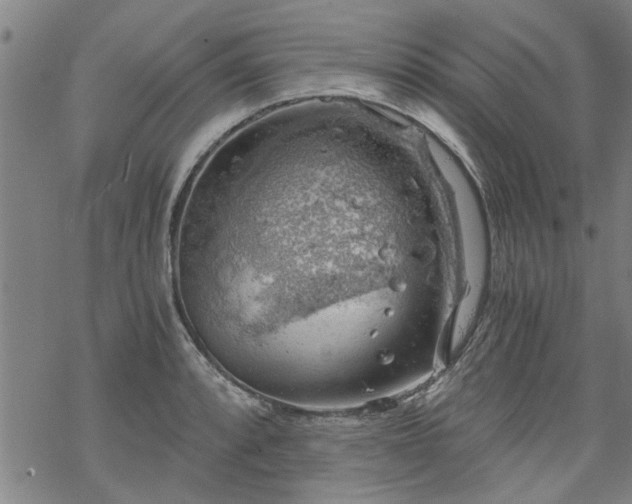 X0000068901088200605122054