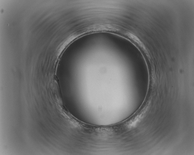 X0000068901089200605122054