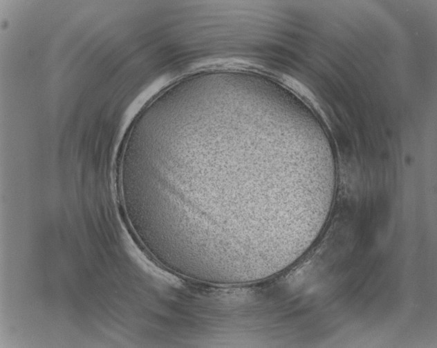 X0000068901090200605122054