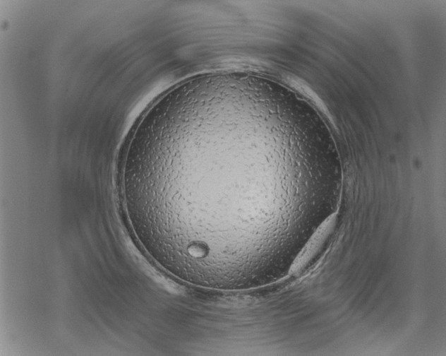 X0000068901091200605122054