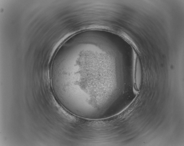 X0000068901092200605122054