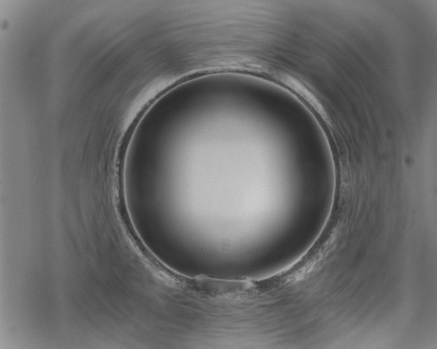 X0000068901093200605122054