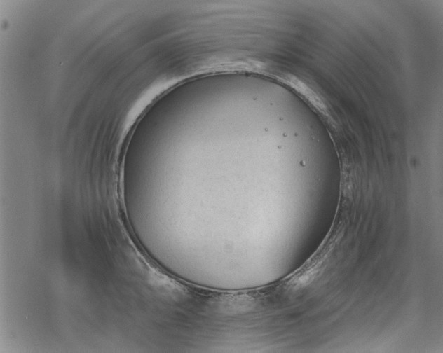 X0000068901094200605122054