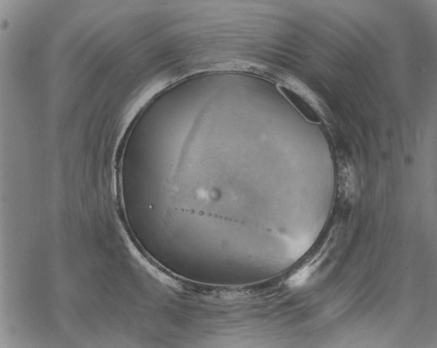 X0000068901095200605122054