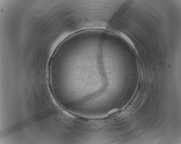 X0000068901096200605122053