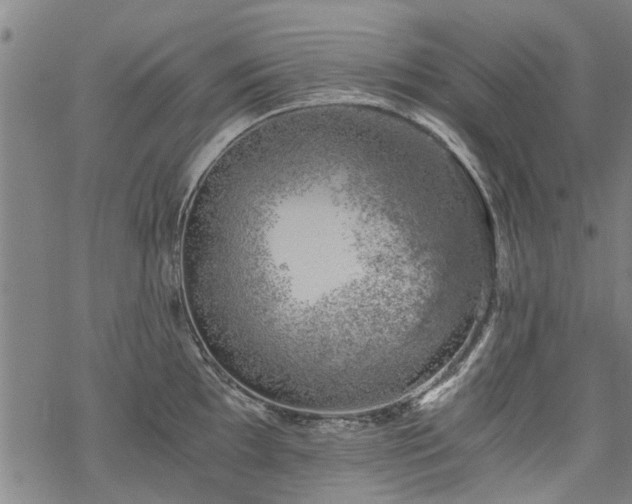 X0000068901097200605122053