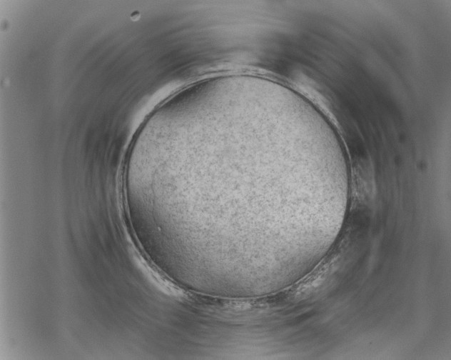 X0000068901098200605122053