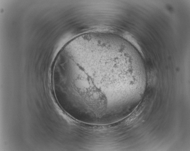 X0000068901099200605122053