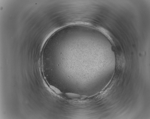 X0000068901100200605122053