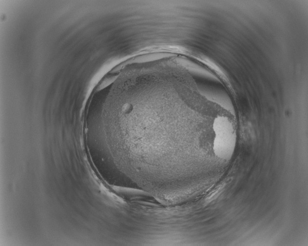 X0000068901102200605122053