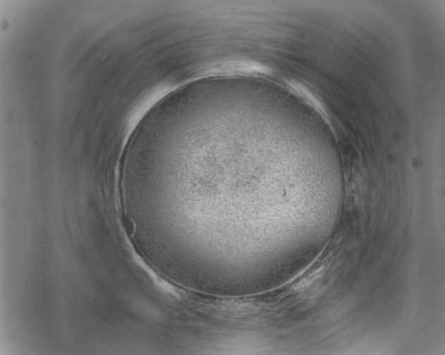 X0000068901103200605122053