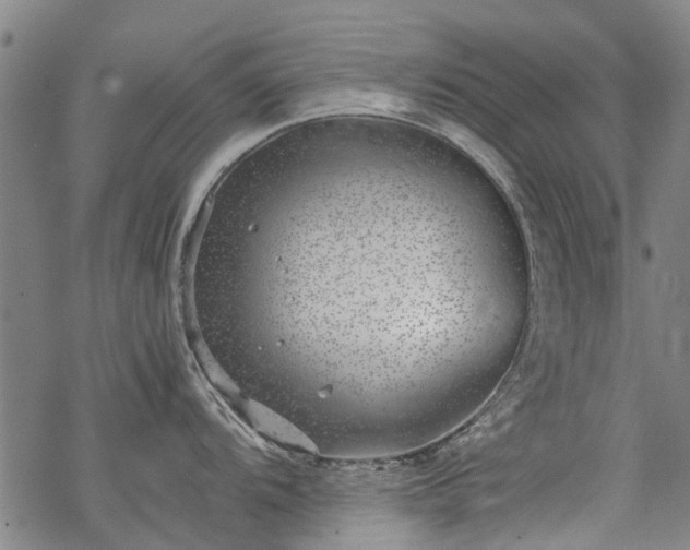 X0000068901104200605122053