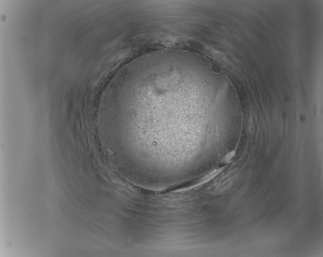 X0000068901105200605122053