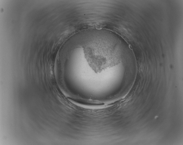 X0000068901106200605122053