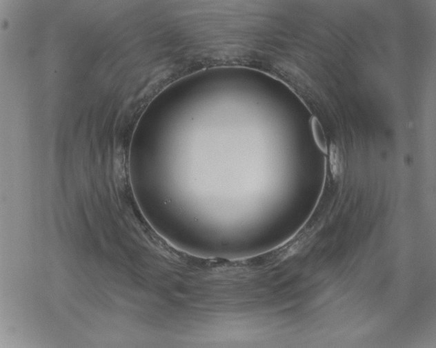 X0000068901107200605122053