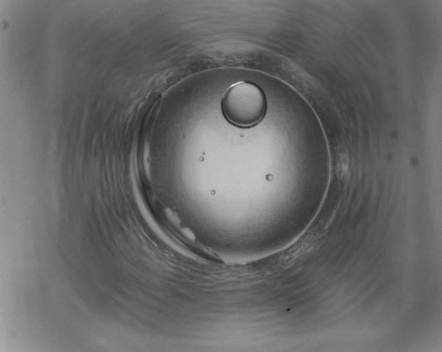 X0000068901108200605122053