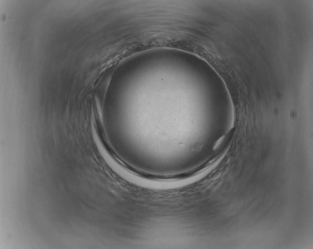 X0000068901109200605122053