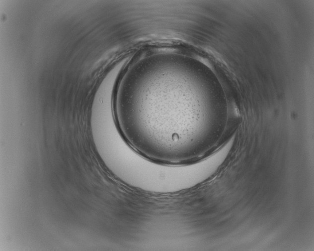 X0000068901110200605122053