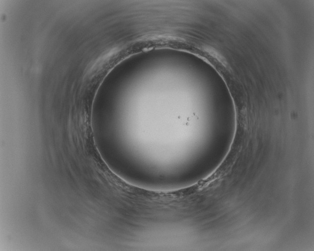 X0000068901111200605122053