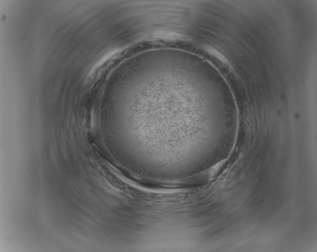 X0000068901112200605122053