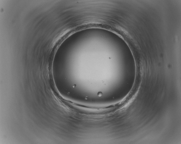 X0000068901113200605122053