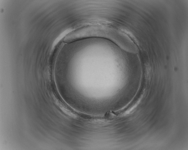 X0000068901114200605122053