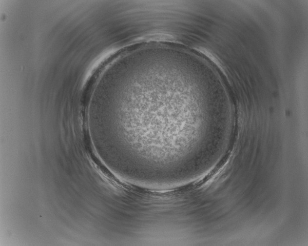 X0000068901115200605122053