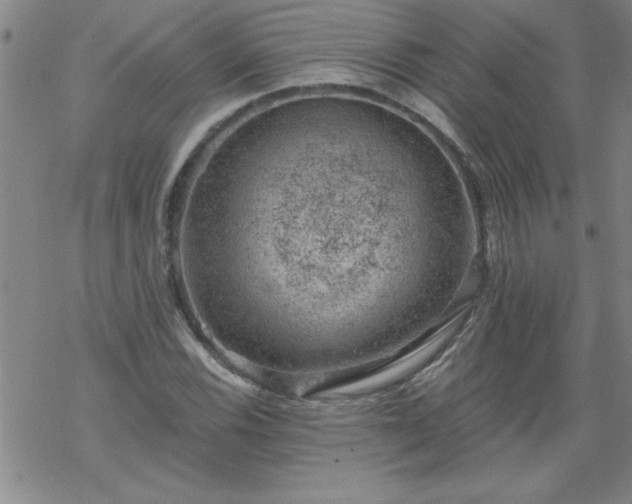 X0000068901116200605122053