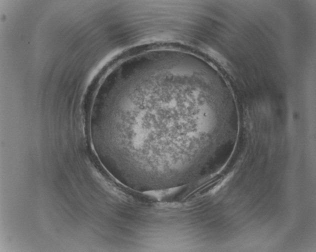 X0000068901118200605122053